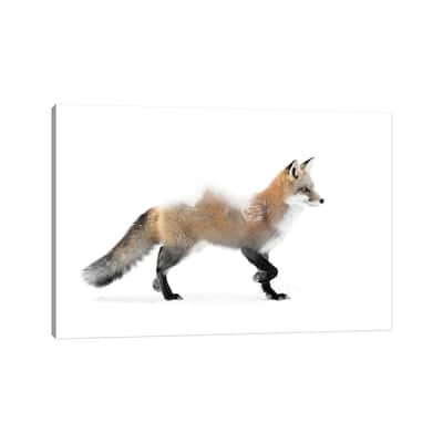 iCanvas "Fox" by Paul Haag Canvas Print