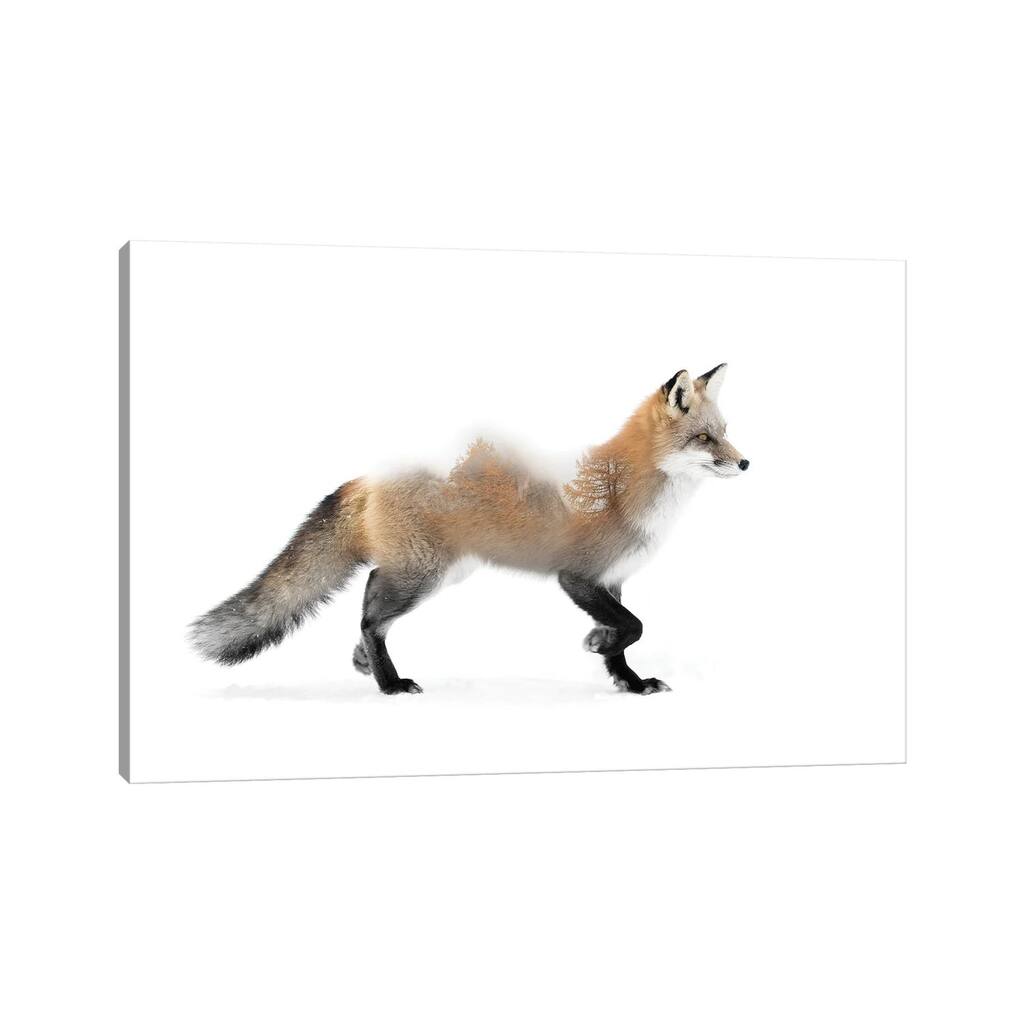 iCanvas "Fox" by Paul Haag Canvas Print