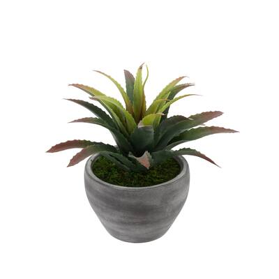 Faux Star Succulent in Grey-Washed Ceramic Vase
