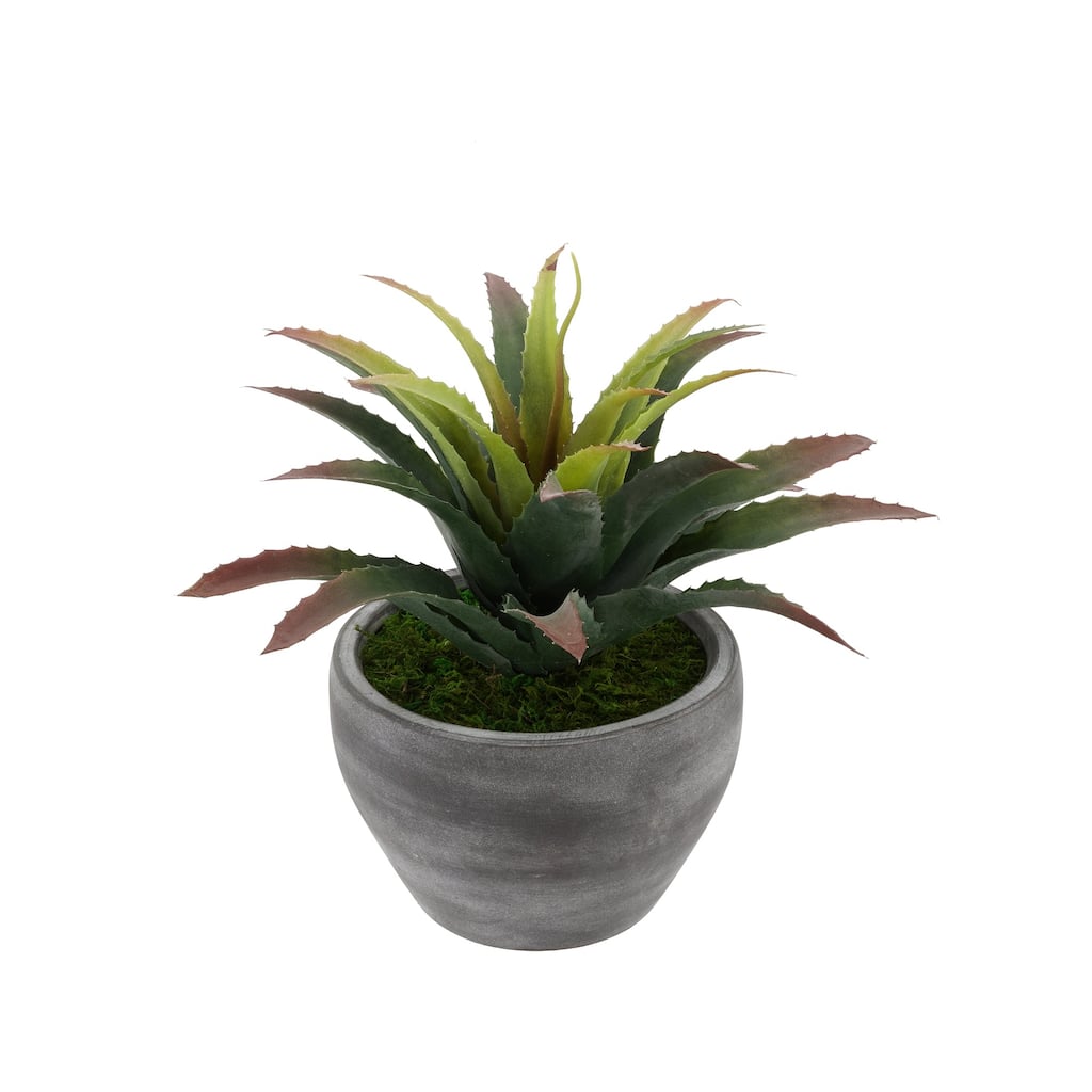 Faux Star Succulent in Grey-Washed Ceramic Vase