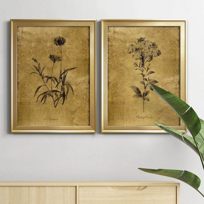 Gold Sketch Botanical I Premium Framed Print - Ready to Hang - Multi-Color