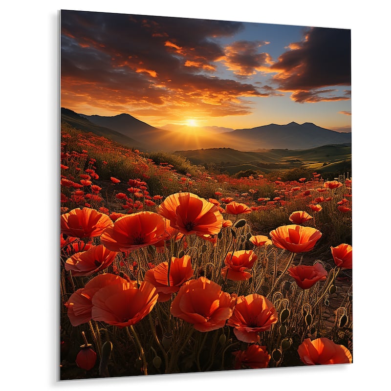 Designart "Coral Wildflowers Fields Of Dreams" Wildflowers Metal Wall Art Living Room