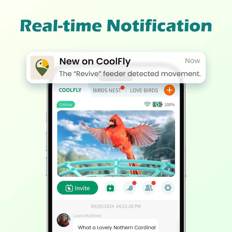 Smart Solar Bird Feeder with Camera and Interactive App