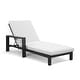 preview thumbnail 6 of 62, Benton Modern Aluminum Lounge Outdoor Double Chaise with Cushion - N/A
