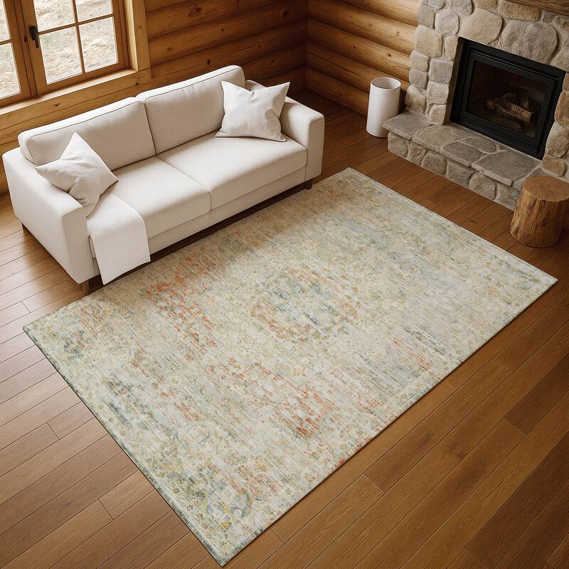 Premium Washable Super Soft Vintage Traditional Mayfield Rug