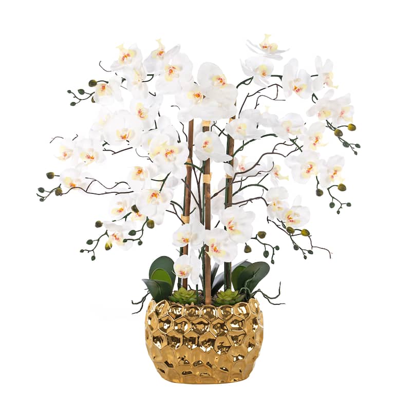8 Stems Real Touch Phalaenopsis Plastic Orchids with Succulents in White Ceramic Pot - 35.43" H x 31.5" W x 31.5 " D