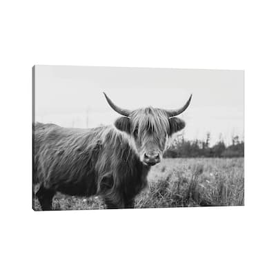iCanvas "Furry Highland Cow Black And White" by Chelsea Victoria Canvas Print