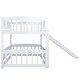 preview thumbnail 10 of 10, Twin Over Twin Low Bunk Bed with Fence and Ladder for Toddler Kids Teens