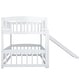 preview thumbnail 10 of 10, Twin Over Twin Low Bunk Bed with Slide, with Fence and Ladder for Toddler Kids Teens