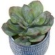 preview thumbnail 3 of 1, Succulent and Grass Centerpiece with Ceramic Pot - 22" - Set of 3