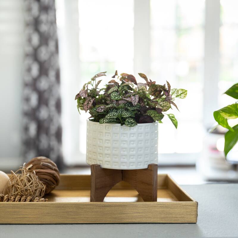 Mid-Century 4.75" CERAMIC GLADIATOR Planter on Wood Stand ,Matte White