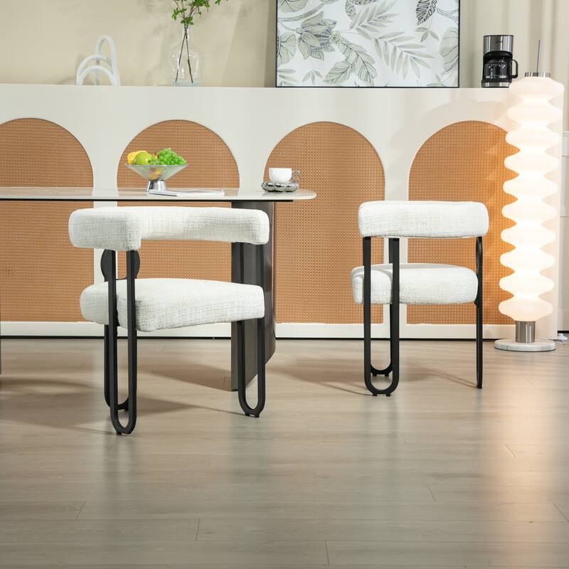 Mid Century Style Dining Chair Set of 2