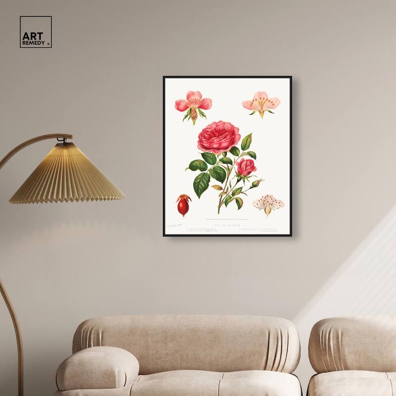 Rose and its parts (1872) Canvas by Art Remedy