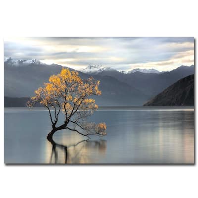 Undisturbed by Michael Cahill Gallery Wrapped Canvas Giclee Art (24 in x 36 in)
