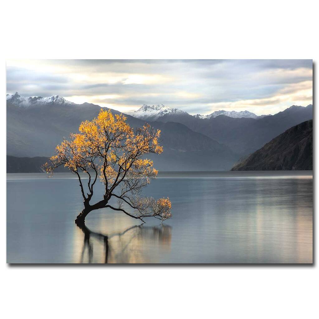 Undisturbed by Michael Cahill Gallery Wrapped Canvas Giclee Art (24 in x 36 in)