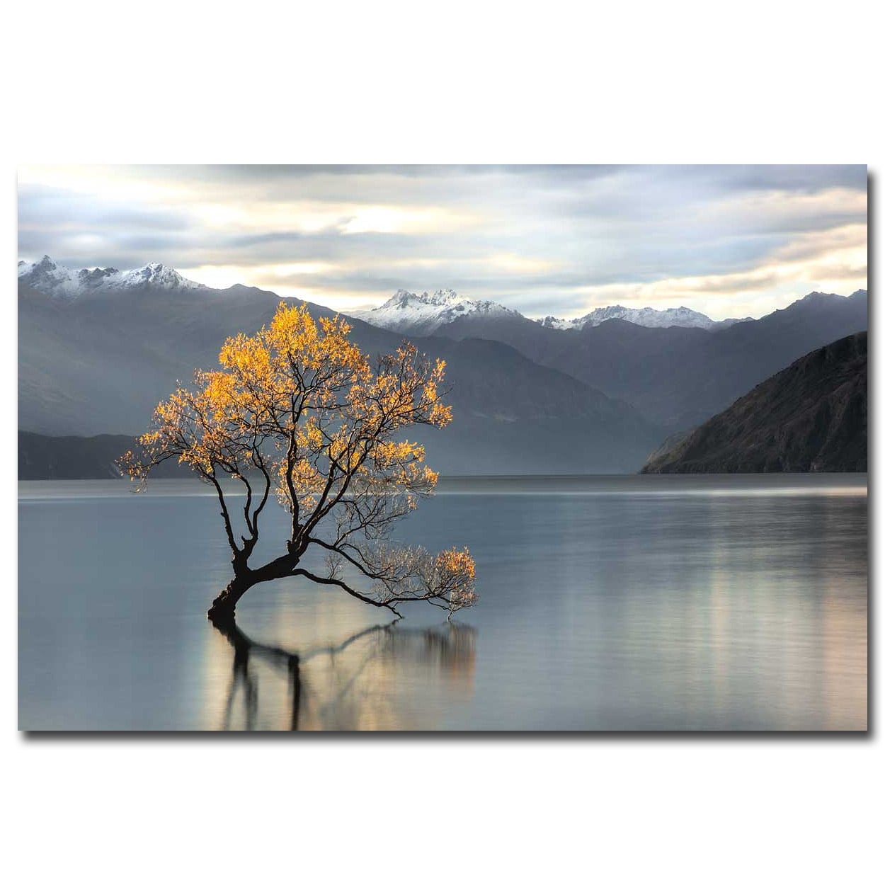 Undisturbed by Michael Cahill Gallery Wrapped Canvas Giclee Art (24 in x 36 in)