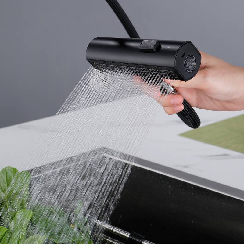 Single Handle Kitchen Faucet with Pull Out Sprayer Single Hole Brass Pull Out Kitchen Sink Faucets Matte Black