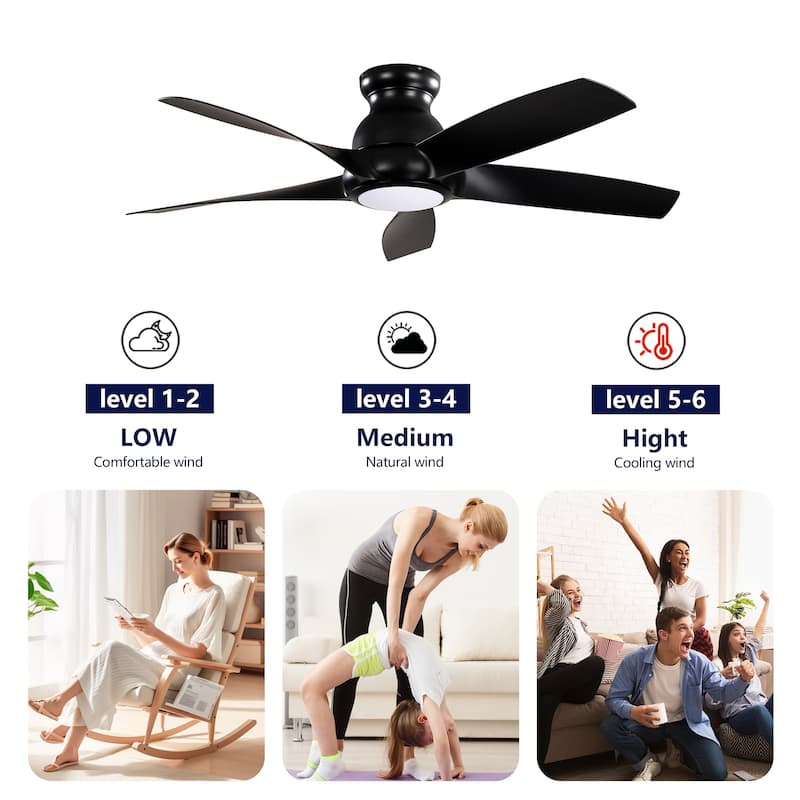 Ceiling Fan with Light Kit