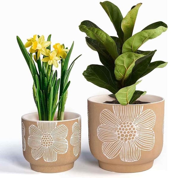 8 Inch + 6 Inch Flower Pattern Plant Pots, Sand Glazed Ceramic Planter with  Drainage Hole, Flower Pots for Indoor Plants - Bed Bath & Beyond - 40340125