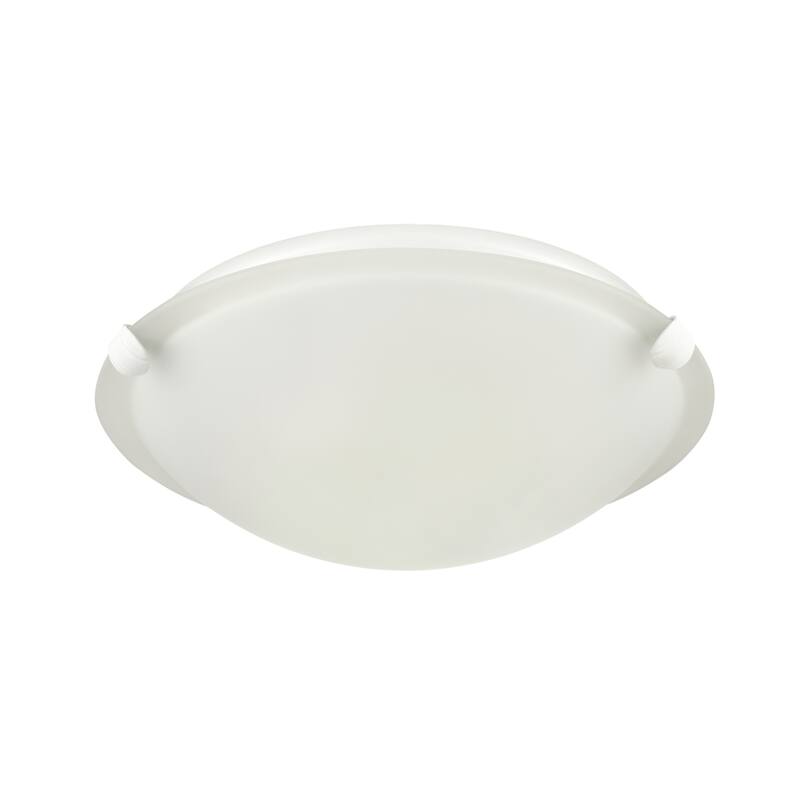 Millennium Lighting 61002 2 Light 12" Wide Flush Mount Ceiling Fixture