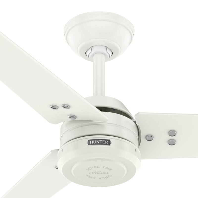 Hunter 60" Cassius ENERGY STAR® Ceiling Fan and Wall Control - Damp Rated - Farmhouse, Transitional, Industrial, Casual