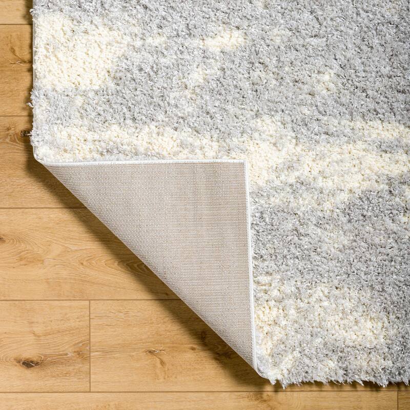 Auston Shag Area Rug
