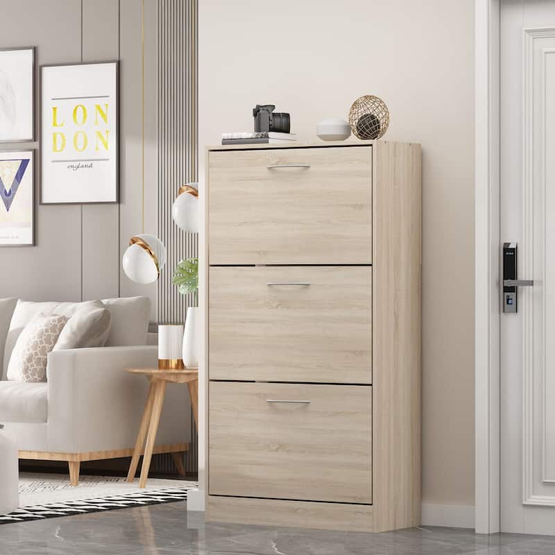 Modern Shoe Storage Cabinet for Entryway, 2 Tier Floor Shoes Cabinet