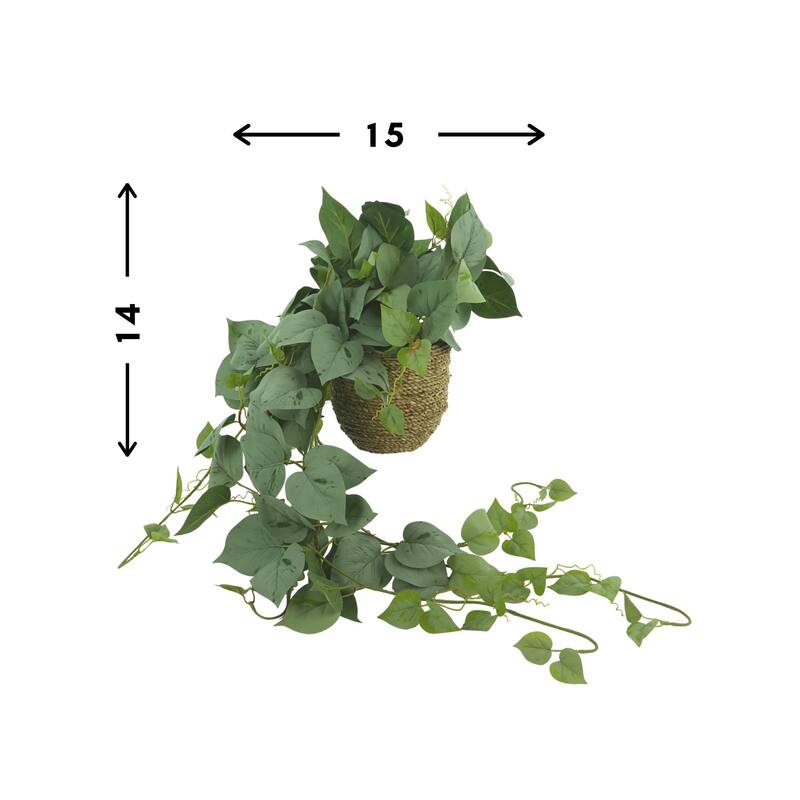 Frosted Ivy Arrangement in Rope Pot - Green