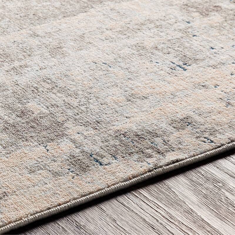 The Gray Barn Golden Loon Distressed Area Rug
