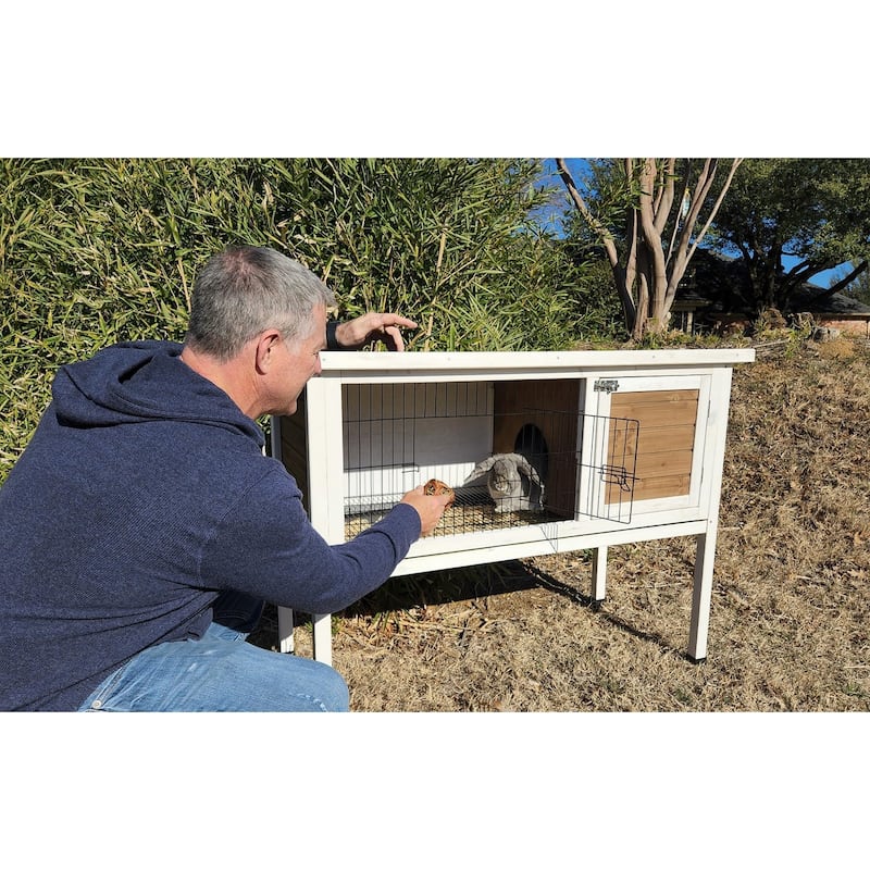 Zylina XL Extreme Rabbit Hutch