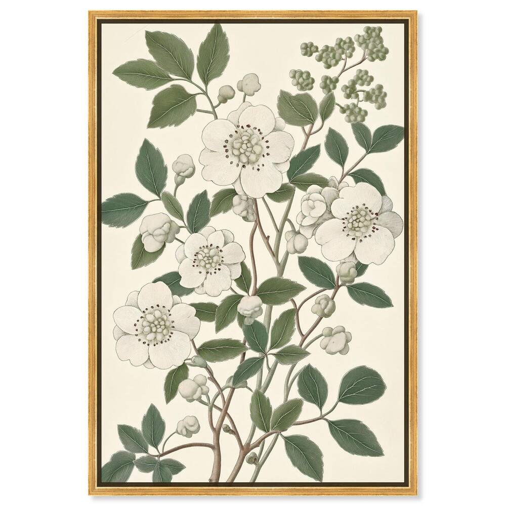 White Cherokee III Canvas by Art Remedy