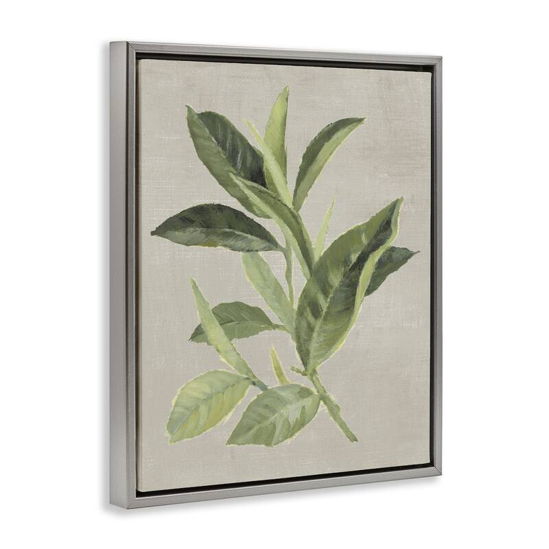 Stupell Green Tea Plant Leaf Framed Floater Canvas Wall Art Design By Lanie Loreth