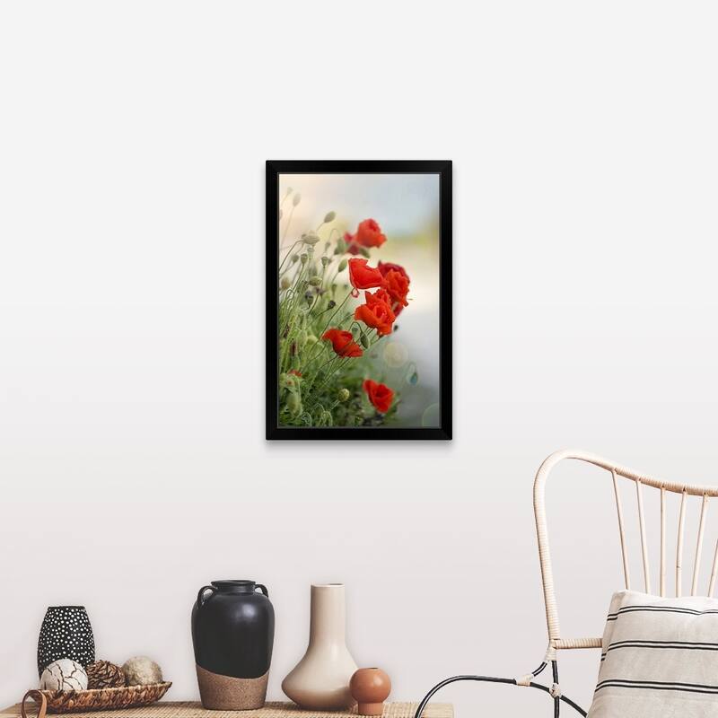 "Flanders poppy with sun flare." Black Framed Print - 20 x 30