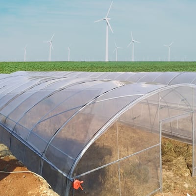 DCP 3.1 Mil Plastic Clear Polyethylene Greenhouse Film for Plant Cover