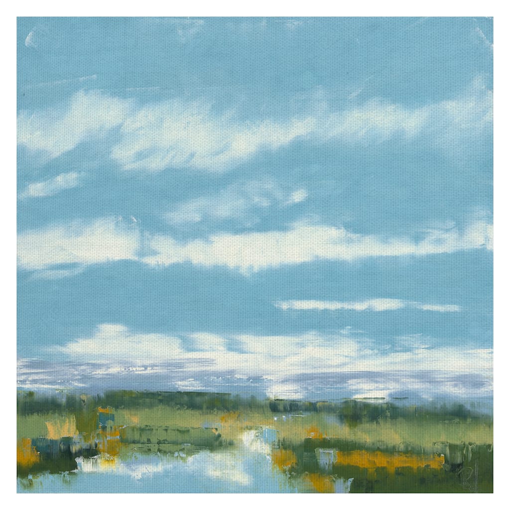 Sideral Day by Ronda Waiksnis Canvas Art Print