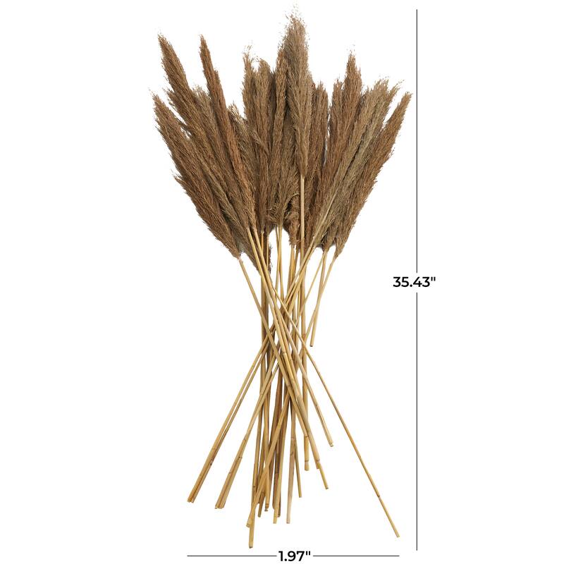 Brown Dried Plant Pampas Home Decor Natural Foliage with Long Stems
