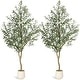 preview thumbnail 16 of 22, Artificial Olive Tree, Faux Silk Plant with White Planter, Natural Trunk & Fruits for Home or Office Decor, 1 Pack 7FT(2pcs)