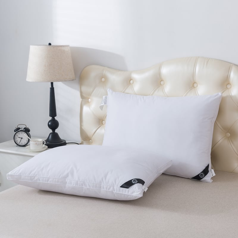 Twin Pack Charcoal Infused Down Alternative Pillow - White