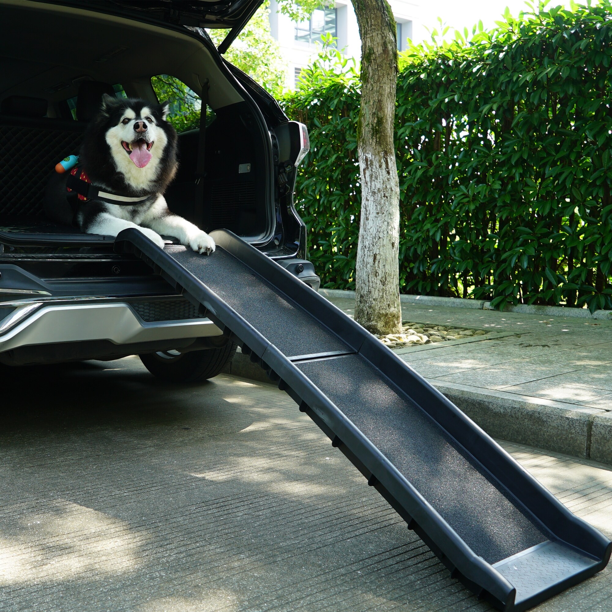Portable sales dog ramp
