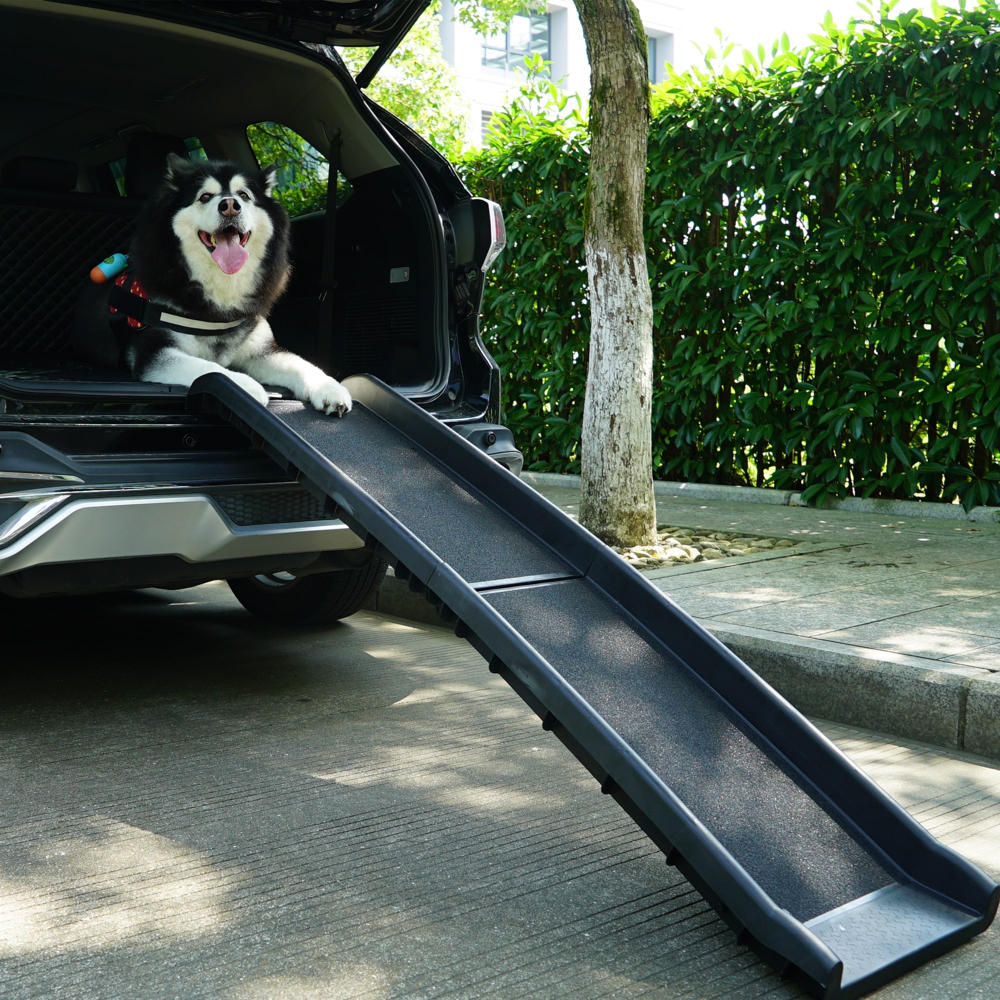 Portable pet ramps for dogs shop