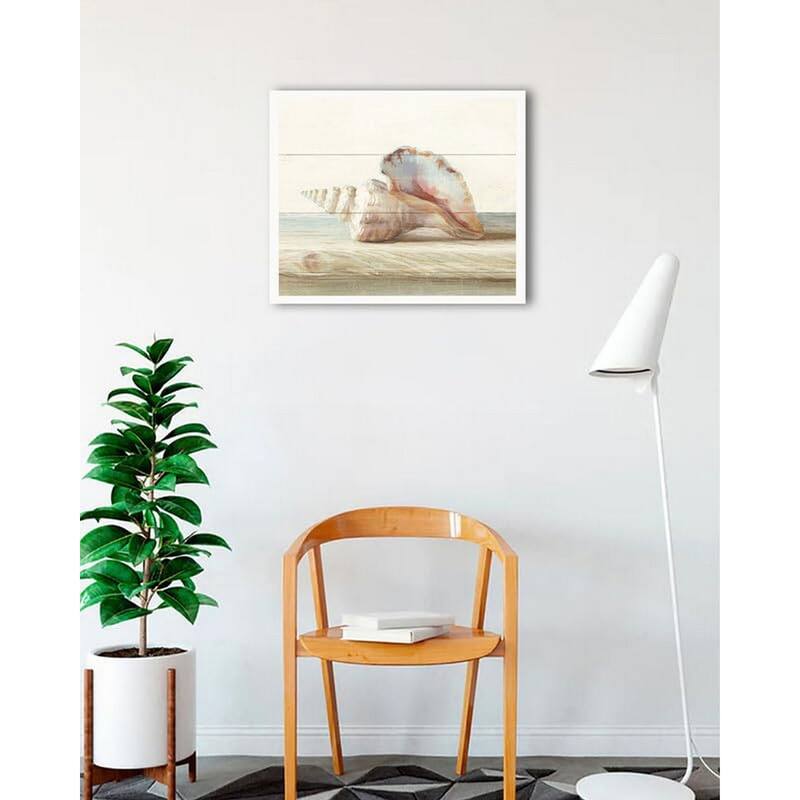 Driftwood Shell IV Framed Poster - 24 x 24 Inch - White