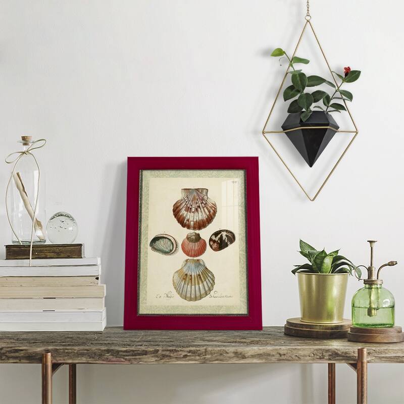 Bookplate Shells III -Framed Print w/glass-Cherry Red