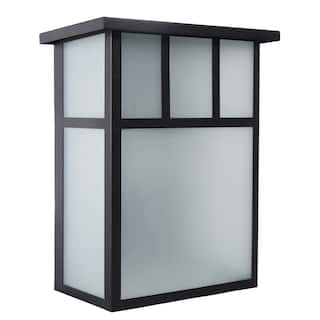 LED Light Outdoor Wall Lighting in Black