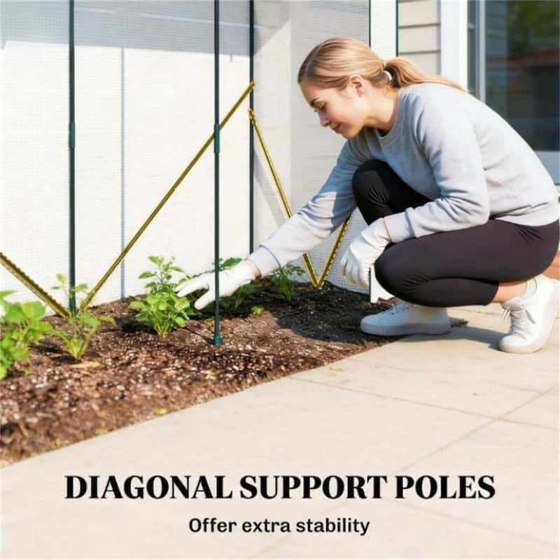 Mini Greenhouse, Portable Greenhouse, Planting Rack, Plant Rack, Green - white