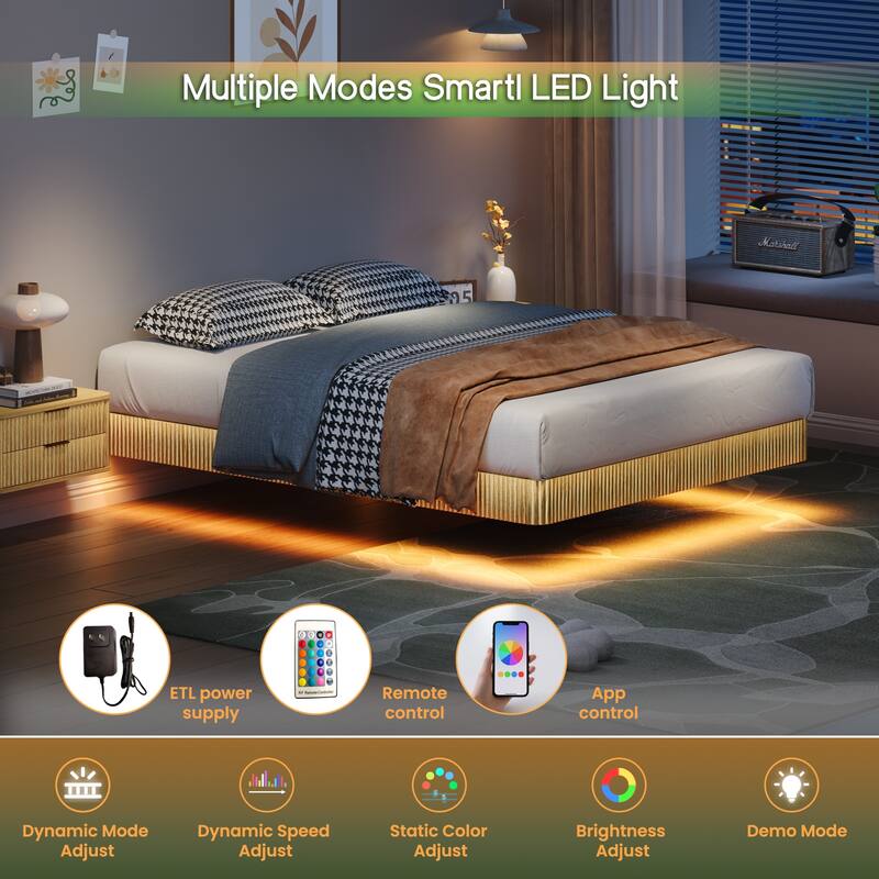 Oak Queen Floating Bed Frame with LED Lights