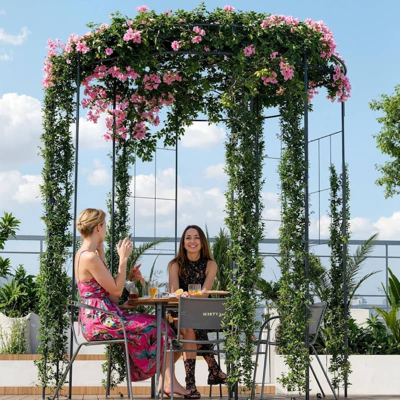 Birdcage 8.8 ft Black Metal Garden Arbor Pergola for Climbing Roses & Vines - Black