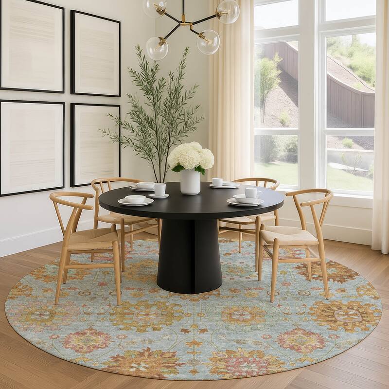 Machine Washable Indoor/ Outdoor Vintage Traditional Chantille Rug