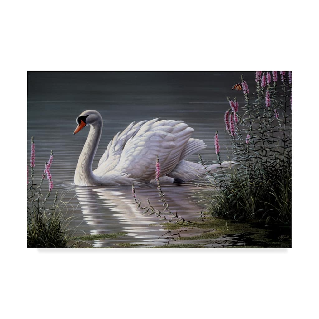 Wilhelm Goebel 'Summer Idyll Mute Swan' Canvas Art
