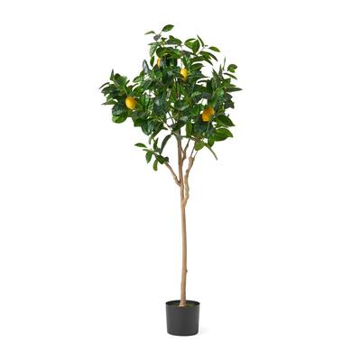 Zylo Decorative Faux Lemon Tree, 59 Inch, Green