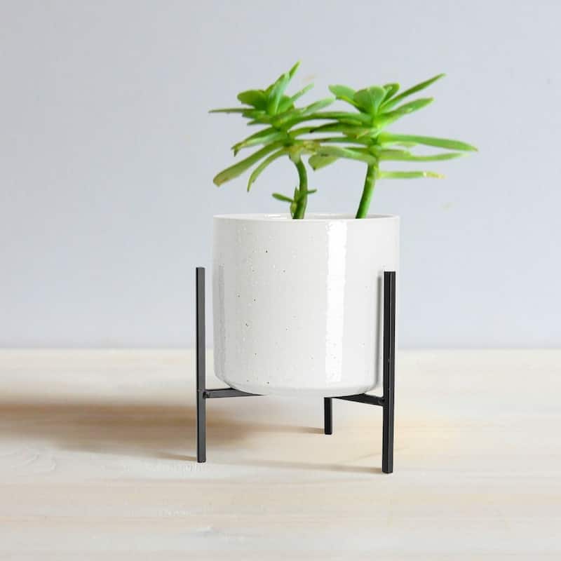 White Stoneware Flower Pot with Black Metal Stand